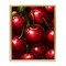 Stupell Industries Lush Juicy Cherries Harvest Floating Frame, design by Christine Simpson Art